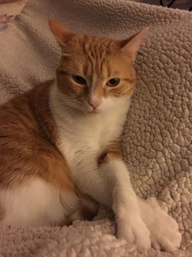 Image of Tucker