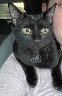 Image of Millie