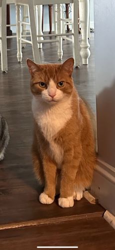 Image of Ricky