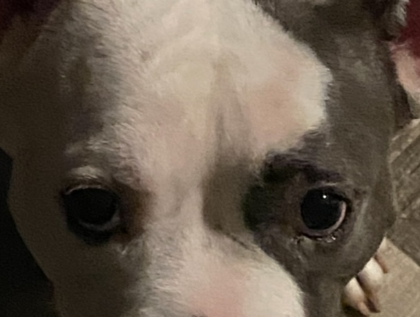 Image of Molly