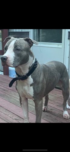 Image of Gucci 