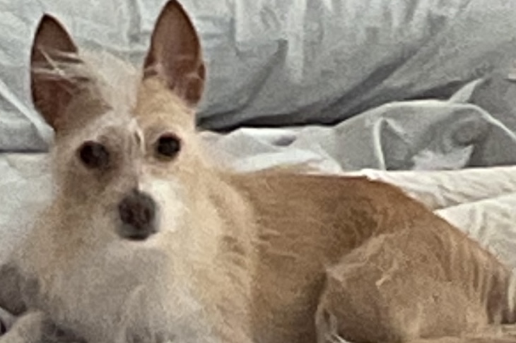Image of Sophie