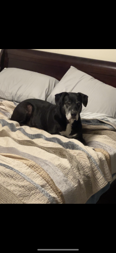Image of Roscoe