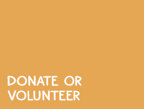 Volunteer Opportunity Icon