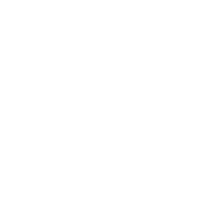 Emergency Operations Plan Page Icon