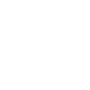 Hazard Mitigation Plan Page Icon