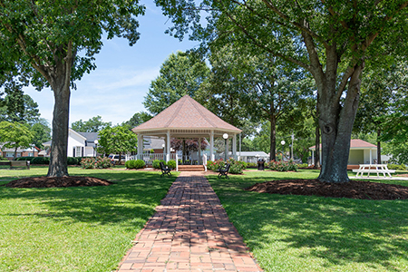 Main pavilion/grove of the park on a sunny day