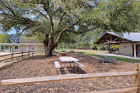 Picnic area and shelter outside visitor center