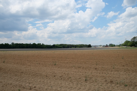 Location of the main park (corner of Matthew and Polenta Road)