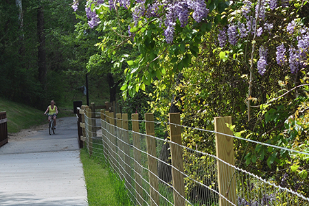 Biker riding along the greenway trail