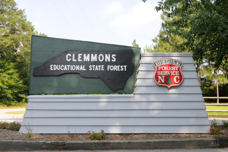 Entrance sign for Clemmons Educational State Forest