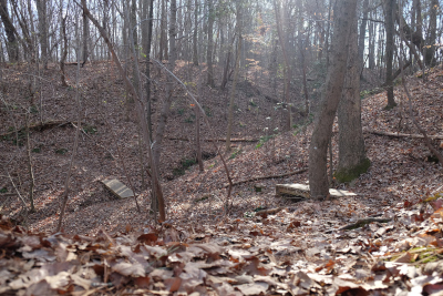 View of Moccasin Swamp/Creek