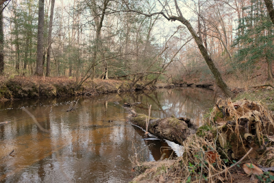 View of the ridgeline with two boardwalks for the trails