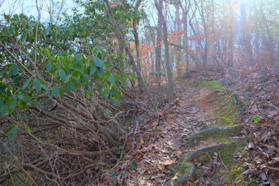 View of the trail along the ridge line