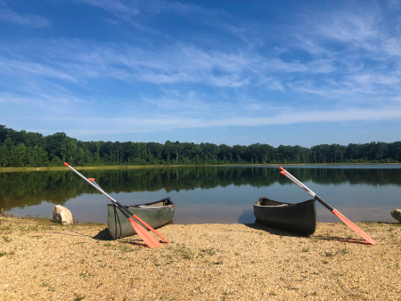 Canoes sitting out at the lakes of Howell Woods