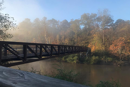 Bridge crossing along the Neuse Riverwalk