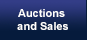 Auctions and Sales