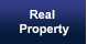 County Real Property or Real Estate
